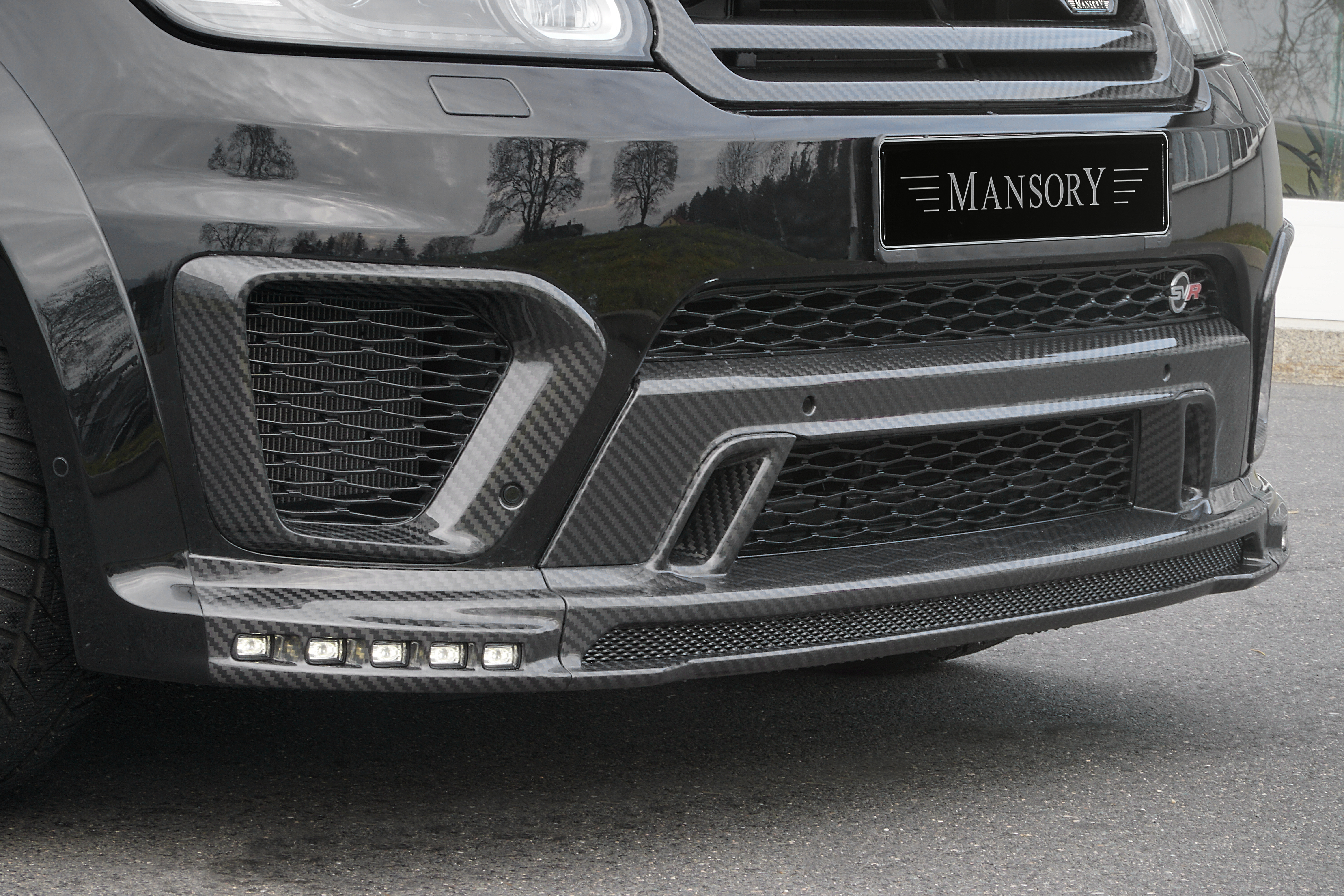 Hond Trottoir Baron Range Rover Sport SVR | Mansory