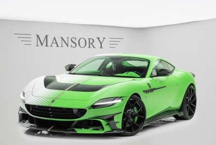 Taycan mansory store